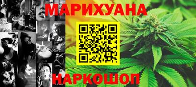 прущие грибы Дубна