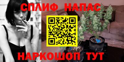 прущие грибы Дубна