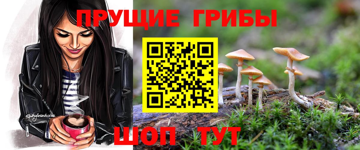 Псилоцибиновые грибы мухоморы Норильск